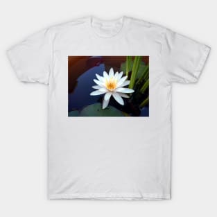 water lily T-Shirt